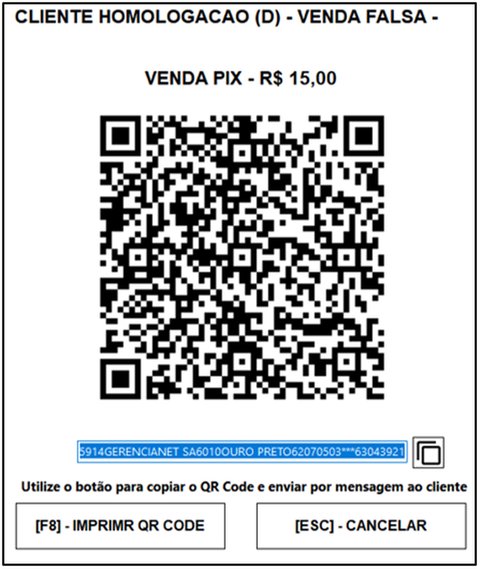 Janela padrão de exibição do Qr Code